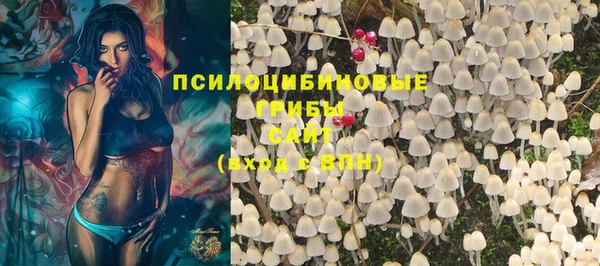 соль ск Алексин