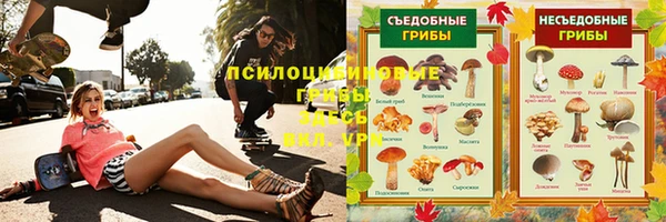 соль ск Алексин