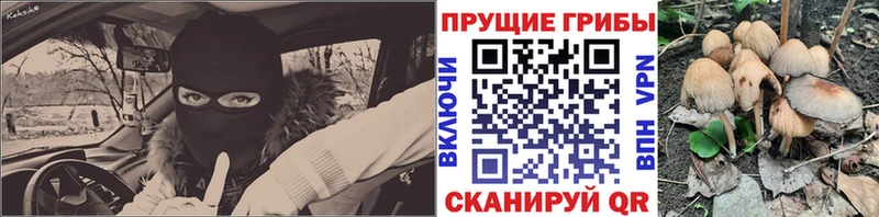 Галлюциногенные грибы Magic Shrooms  Ардатов 
